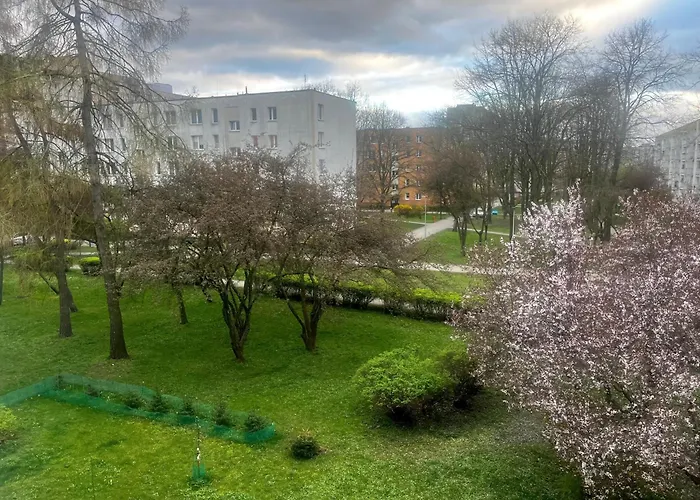 Olo Apartment